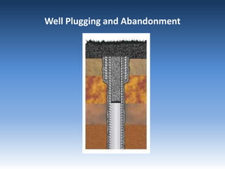 Well Plugging and Abandonment
 