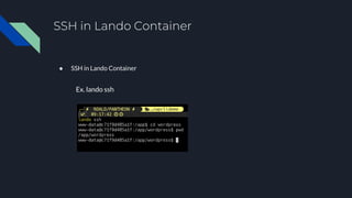 SSH in Lando Container
● SSH in Lando Container
Ex. lando ssh
 