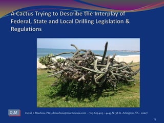 David J. Muchow, PLC, dmuchow@muchowlaw.com - 703.625.4115 - 4449 N. 38 St. Arlington, VA - 22207
13
 