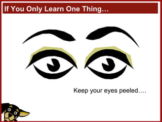 If You Only Learn One Thing… Keep your eyes peeled…. 