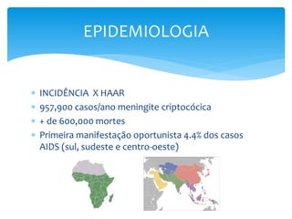  INCIDÊNCIA X HAAR
 957,900 casos/ano meningite criptocócica
 + de 600,000 mortes
 Primeira manifestação oportunista 4.4% dos casos
AIDS (sul, sudeste e centro-oeste)
EPIDEMIOLOGIA
 