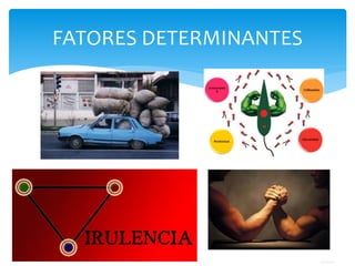 FATORES DETERMINANTES
 
