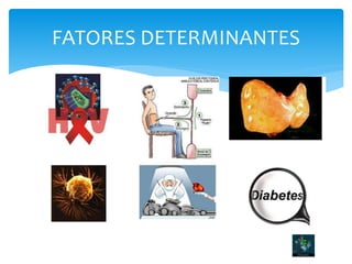 FATORES DETERMINANTES
 