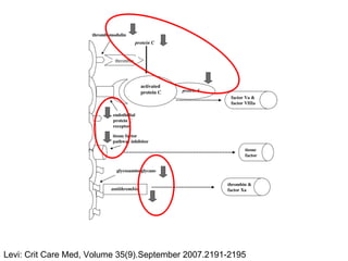 Levi: Crit Care Med, Volume 35(9).September 2007.2191-2195  