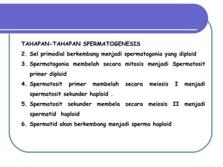 TAHAPAN-TAHAPAN SPERMATOGENESIS Sel primodial berkembang menjadi spermatogonia yang diploid Spermatogonia membelah secara mitosis menjadi Spermatosit primer diploid  Spermatosit primer membelah secara meiosis I menjadi spermatosit sekunder haploid . Spermatosit sekunder membela secara meiosis II menjadi spermatid  haploid Spermatid akan berkembang menjadi sperma haploid  