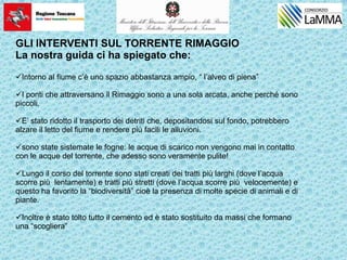 GLI INTERVENTI SUL TORRENTE RIMAGGIO
La nostra guida ci ha spiegato che:
Intorno al fiume c’è uno spazio abbastanza ampio, “ l’alveo di piena”
I ponti che attraversano il Rimaggio sono a una sola arcata, anche perché sono
piccoli.
E’ stato ridotto il trasporto dei detriti che, depositandosi sul fondo, potrebbero
alzare il letto del fiume e rendere più facili le alluvioni.
sono state sistemate le fogne: le acque di scarico non vengono mai in contatto
con le acque del torrente, che adesso sono veramente pulite!
Lungo il corso del torrente sono stati creati dei tratti più larghi (dove l’acqua
scorre più lentamente) e tratti più stretti (dove l’acqua scorre più velocemente) e
questo ha favorito la “biodiversità” cioè la presenza di molte specie di animali e di
piante.
Inoltre è stato tolto tutto il cemento ed è stato sostituito da massi che formano
una “scogliera”
 