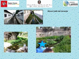 Alcuni tratti del torrente
 