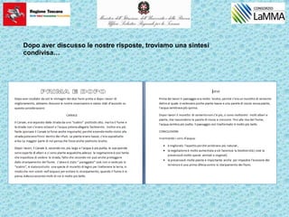 Dopo aver discusso le nostre risposte, troviamo una sintesi
condivisa…
 