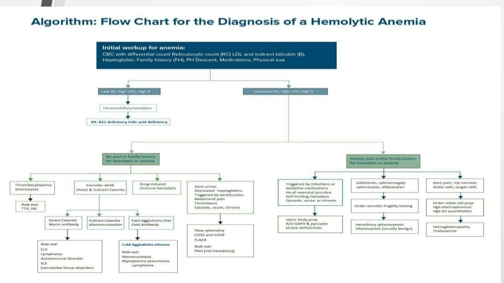 lab work up for hemolytic anemia