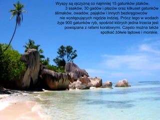 Wyspy są ojczyzną co najmniej 15 gatunków ptaków,
      3 ssaków, 30 gadów i płazów oraz kilkuset gatunków
ślimaków, owadów, pająków i innych bezkręgowców
   nie występujących nigdzie indziej. Prócz tego w wodach
 żyje 900 gatunków ryb, spośród których jedna trzecia jest
      powiązana z rafami koralowymi. Często można także
                         spotkać żółwie lądowe i morskie.
 