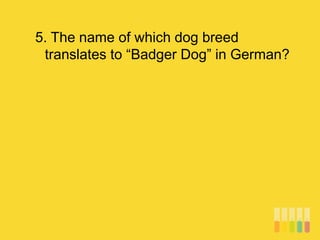 5. The name of which dog breed
translates to “Badger Dog” in German?
 