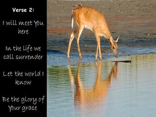 Verse 2:
 