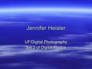 Jennifer Heisler UF/Digital Photography Set 2 of Digital Photos 