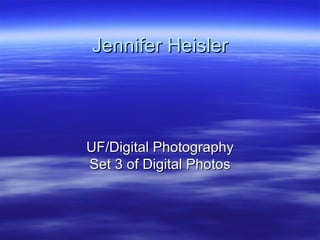 Jennifer Heisler UF/Digital Photography Set 3 of Digital Photos 