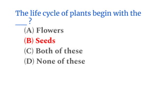 The life cycle of plants begin with the
__ ?
(A) Flowers
(B) Seeds
(C) Both of these
(D) None of these
 