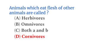 Animals which eat flesh of other
animals are called ?
(A) Herbivores
(B) Omnivores
(C) Both a and b
(D) Cornivores
 