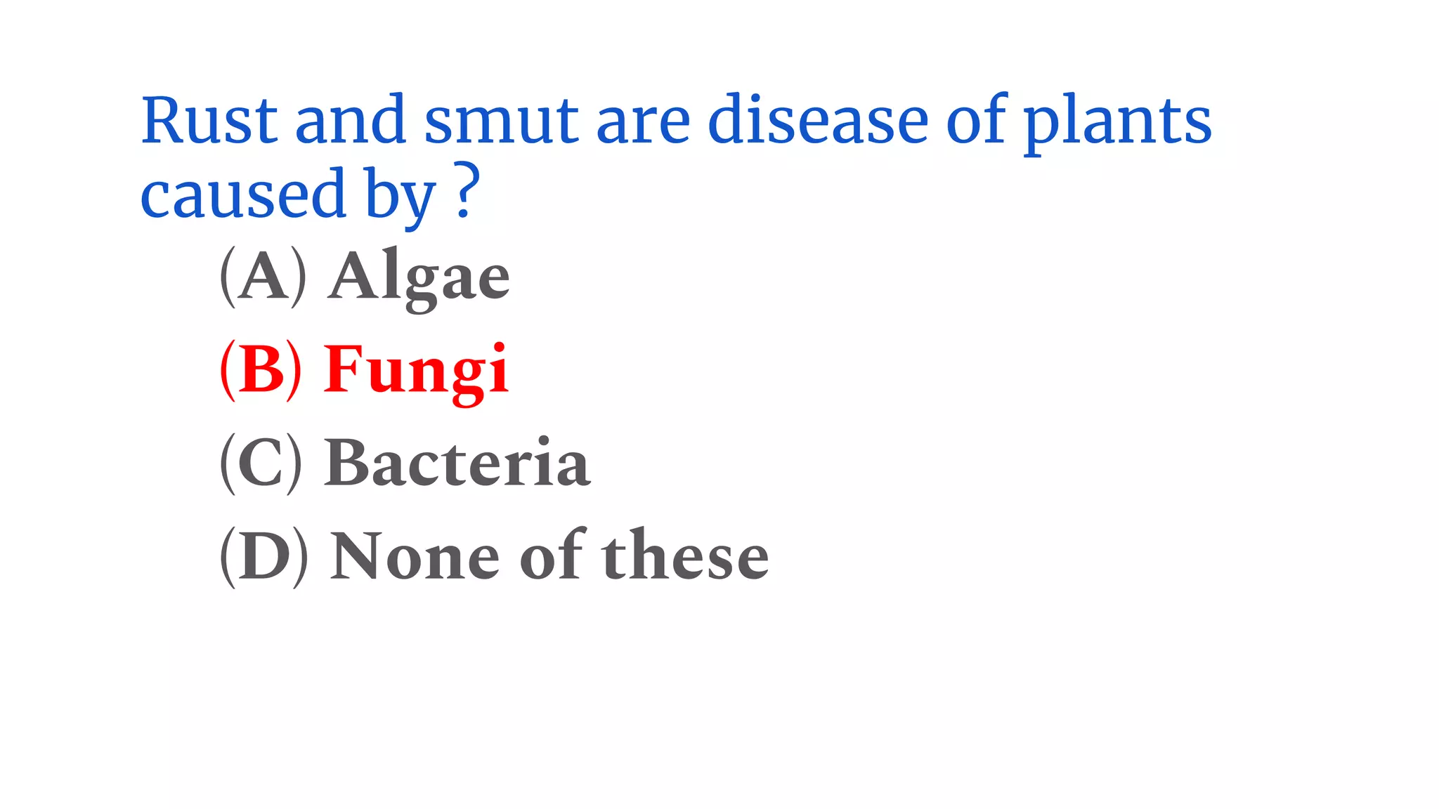 Rust and smut are disease of plants
caused by ?
(A) Algae
(B) Fungi
(C) Bacteria
(D) None of these
 