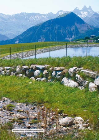 Retenue d’altitude soumise à un risque torrentiel.
                                                     © Cemagref.
 