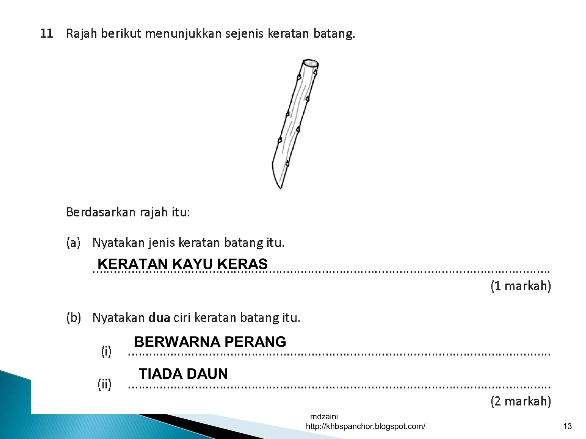 mdzaini
http://khbspanchor.blogspot.com/ 13
KERATAN KAYU KERAS
BERWARNA PERANG
TIADA DAUN
 