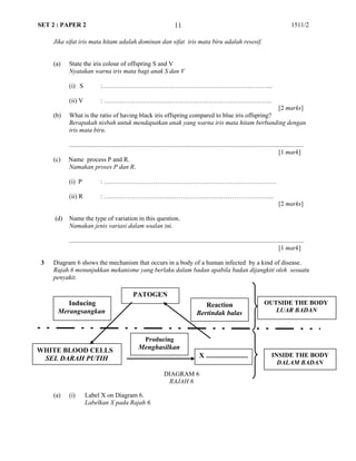 SET 2 : PAPER 2 1511/2
Jika sifat iris mata hitam adalah dominan dan sifat iris mata biru adalah resesif.
(a) State the iris colour of offspring S and V
Nyatakan warna iris mata bagi anak S dan V
(i) S :……………………………………………………………………..
(ii) V : …………………………………………………………………….
[2 marks]
(b) What is the ratio of having black iris offspring compared to blue iris offspring?
Berapakah nisbah untuk mendapatkan anak yang warna iris mata hitam berbanding dengan
iris mata biru.
...................................................................................................................................................
[1 mark]
(c) Name process P and R.
Namakan proses P dan R.
(i) P : ………………………………………………………………………
(ii) R : ……………………………………………………………………..
[2 marks]
(d) Name the type of variation in this question.
Namakan jenis variasi dalam soalan ini.
...................................................................................................................................................
[1 mark]
3 Diagram 6 shows the mechanism that occurs in a body of a human infected by a kind of disease.
Rajah 6 menunjukkan mekanisme yang berlaku dalam badan apabila badan dijangkiti oleh sesuatu
penyakit.
(a) (i) Label X on Diagram 6.
Labelkan X pada Rajah 6.
11
PATOGEN
WHITE BLOOD CELLS
SEL DARAH PUTIH X ........................
OUTSIDE THE BODY
LUAR BADAN
INSIDE THE BODY
DALAM BADAN
Reaction
Bertindak balas
Producing
Menghasilkan
Inducing
Merangsangkan
DIAGRAM 6
RAJAH 6
 