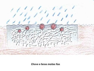 Chove e fanse moitas fías
 