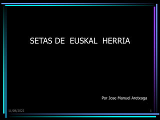 11/08/2022 1
SETAS DE EUSKAL HERRIA
Por Jose Manuel Aretxaga
 
