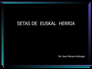 SETAS DE  EUSKAL  HERRIA Por Jose Manuel Aretxaga 