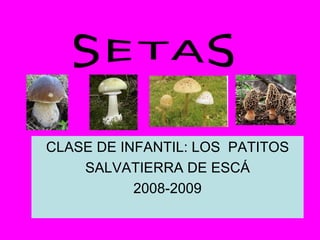 CLASE DE INFANTIL: LOS  PATITOS SALVATIERRA DE ESCÁ 2008-2009 SETAS 