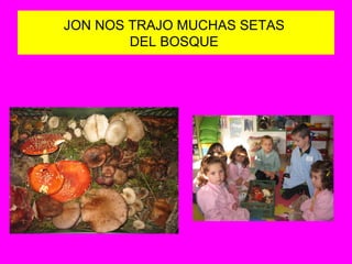 JON NOS TRAJO MUCHAS SETAS  DEL BOSQUE  