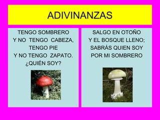 ADIVINANZAS TENGO SOMBRERO Y NO  TENGO  CABEZA, TENGO PIE Y NO TENGO  ZAPATO. ¿QUIÉN SOY? SALGO EN OTOÑO Y EL BOSQUE LLENO; SABRÁS QUIEN SOY POR MI SOMBRERO 