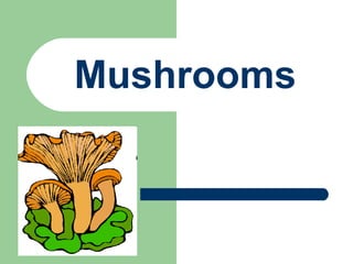 Mushrooms
 