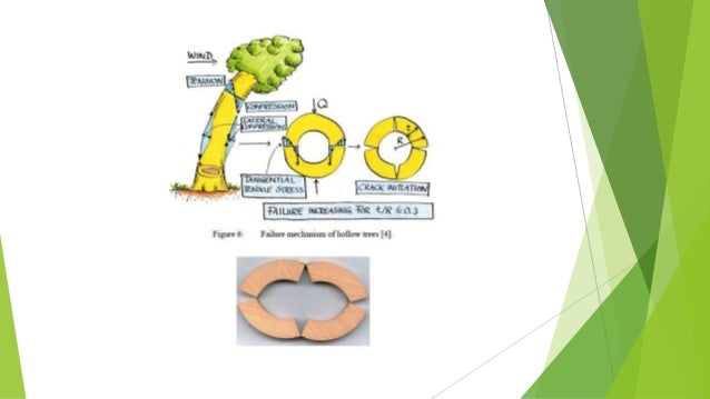 what is bamboo software used for what is bamboo software used for