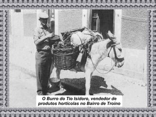 O Burro do Tio Isidoro, vendedor de produtos hortícolas no Bairro de Troino 