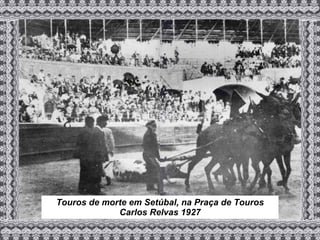 Touros de morte em Setúbal, na Praça de Touros Carlos Relvas 1927 