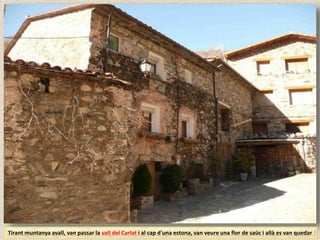 Tirant muntanya avall, van passar la vall del Carlat i al cap d'una estona, van veure una flor de saüc i allà es van quedar
 