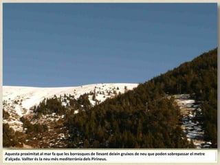 Aquesta proximitat al mar fa que les borrasques de llevant deixin gruixos de neu que poden sobrepassar el metre
d'alçada. Vallter és la neu més mediterrània dels Pirineus.
 