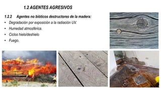 1.2 AGENTES AGRESIVOS
1.2.2 Agentes no bióticos destructores de la madera:
• Degradación por exposición a la radiación UV.
• Humedad atmosférica.
• Ciclos hielo/deshielo
• Fuego.
 