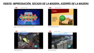 VIDEOS: IMPREGNACIÓN, SECADO DE LA MADERA, ASERRÍO DE LA MADERA
 