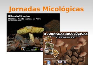 Jornadas Micológicas
 