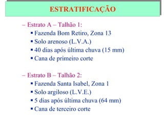 – Estrato A – Talhão 1:
 Fazenda Bom Retiro, Zona 13
 Solo arenoso (L.V.A.)
 40 dias após última chuva (15 mm)
 Cana de primeiro corte
– Estrato B – Talhão 2:
 Fazenda Santa Isabel, Zona 1
 Solo argiloso (L.V.E.)
 5 dias após última chuva (64 mm)
 Cana de terceiro corte
ESTRATIFICAÇÃO
 