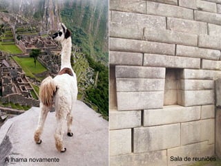 A lhama novamente   Sala de reuniões
 