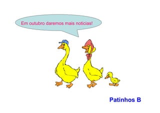 Em outubro daremos mais noticias!
Patinhos B
 