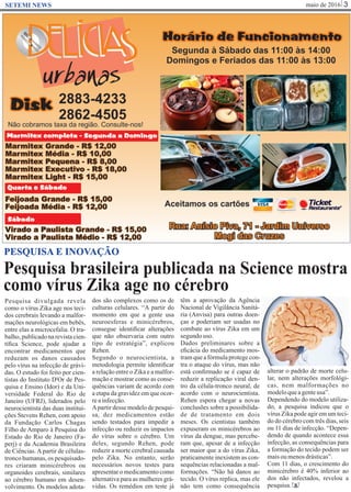 maio de 2016 3SETEMI NEWS
Pesquisa brasileira publicada na Science mostra
como vírus Zika age no cérebro
S
PESQUISA E INOVAÇÃO
Pesquisa divulgada revela
como o vírus Zika age nos teci-
dos cerebrais levando a malfor-
mações neurológicas em bebês,
entre elas a microcefalia. O tra-
balho,publicadonarevistacien-
tíﬁca Science, pode ajudar a
encontrar medicamentos que
reduzam os danos causados
pelo vírus na infecção de grávi-
das. O estudo foi feito por cien-
tistas do Instituto D'Or de Pes-
quisa e Ensino (Idor) e da Uni-
versidade Federal do Rio de
Janeiro (UFRJ), liderados pelo
neurocientista das duas institui-
ções Stevens Rehen, com apoio
da Fundação Carlos Chagas
Filho de Amparo à Pesquisa do
Estado do Rio de Janeiro (Fa-
perj) e da Academia Brasileira
de Ciências. A partir de células-
tronco humanas, os pesquisado-
res criaram minicérebros ou
organoides cerebrais, similares
ao cérebro humano em desen-
volvimento. Os modelos adota-
dos são complexos como os de
culturas celulares. “A partir do
momento em que a gente usa
neuroesferas e minicérebros,
consegue identiﬁcar alterações
que não observaria com outro
tipo de estratégia”, explicou
Rehen.
Segundo o neurocientista, a
metodologia permite identiﬁcar
a relação entre o Zika e a malfor-
mação e mostrar como as conse-
quências variam de acordo com
a etapa da gravidez em que ocor-
reainfecção.
Apartir desse modelo de pesqui-
sa, dez medicamentos estão
sendo testados para impedir a
infecção ou reduzir os impactos
do vírus sobre o cérebro. Um
deles, segundo Rehen, pode
reduzir a morte cerebral causada
pelo Zika. No entanto, serão
necessários novos testes para
apresentar o medicamento como
alternativa para as mulheres grá-
vidas. Os remédios em teste já
têm a aprovação da Agência
Nacional de Vigilância Sanitá-
ria (Anvisa) para outras doen-
ças e poderiam ser usadas no
combate ao vírus Zika em um
segundouso.
Dados preliminares sobre a
eﬁcácia do medicamento mos-
tramqueafórmulaprotegecon-
tra o ataque do vírus, mas não
está conﬁrmado se é capaz de
reduzir a replicação viral den-
tro da célula-tronco neural, de
acordo com o neurocientista.
Rehen espera chegar a novas
conclusões sobre a possibilida-
de de tratamento em dois
meses. Os cientistas também
expuseram os minicérebros ao
vírus da dengue, mas percebe-
ram que, apesar de a infecção
ser maior que a do vírus Zika,
praticamente inexistem as con-
sequências relacionadas a mal-
formações. “Não há danos ao
tecido. O vírus replica, mas ele
não tem como consequência
alterar o padrão de morte celu-
lar, nem alterações morfológi-
cas, nem malformações no
modeloqueagenteusa”.
Dependendo do modelo utiliza-
do, a pesquisa indicou que o
vírus Zika pode agir em um teci-
do do cérebro com três dias, seis
ou 11 dias de infecção. “Depen-
dendo de quando acontece essa
infecção, as consequências para
a formação do tecido podem ser
maisoumenosdrásticas”.
Com 11 dias, o crescimento do
minicérebro é 40% inferior ao
dos não infectados, revelou a
pesquisa.
 