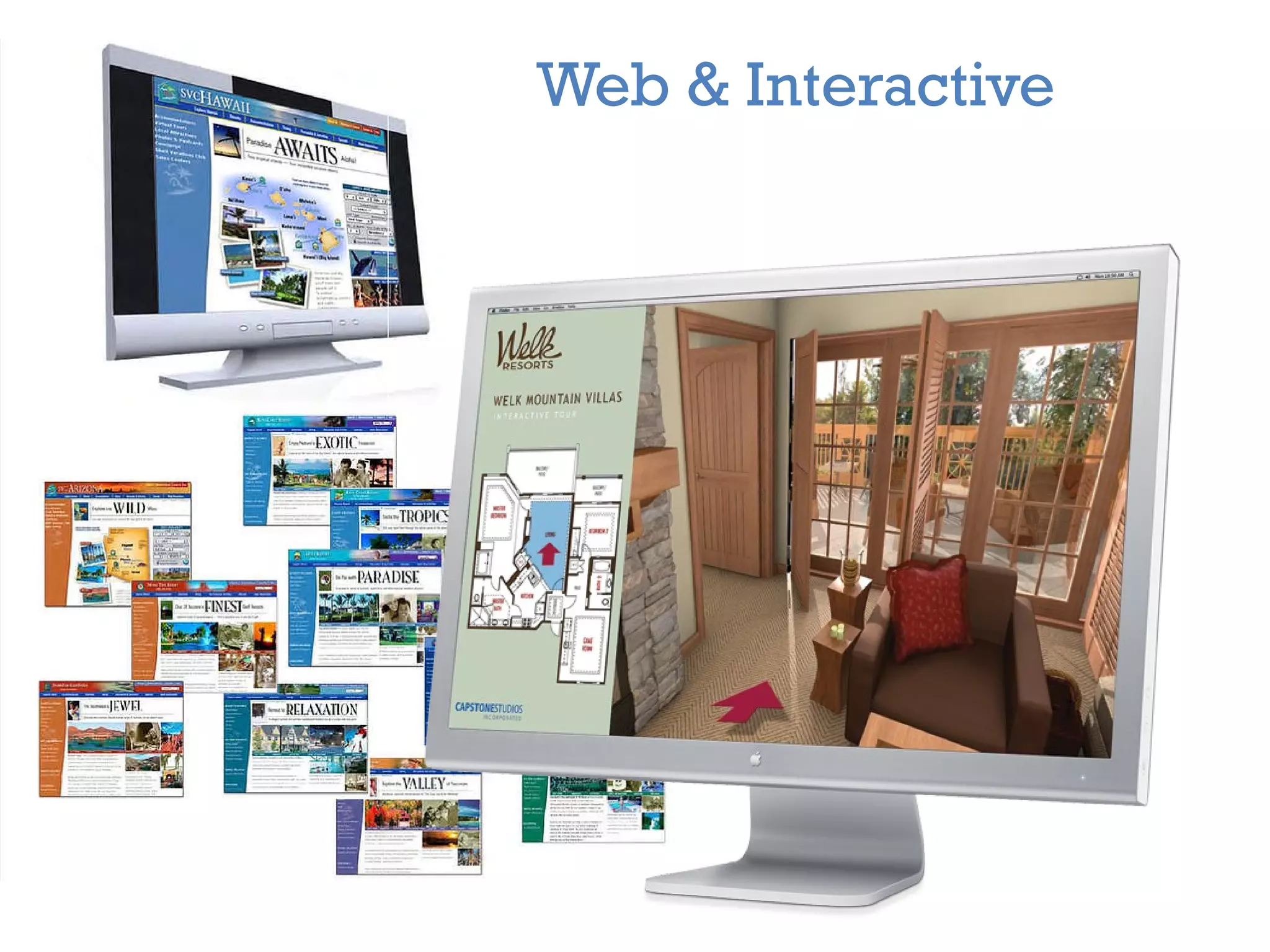 Web & Interactive 