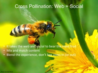 Cross Pollination: Web + Social




    • It takes the web and social to bear the most fruit
    • Mix and match content
    • Blend the experience, don’t box users in (or out)



Photo via Andy Mayer
 