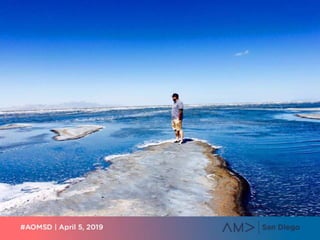 GREAT SALT LAKE IMAGE
 