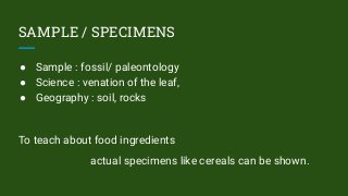 SAMPLE / SPECIMENS
● Sample : fossil/ paleontology
● Science : venation of the leaf,
● Geography : soil, rocks
To teach about food ingredients
actual specimens like cereals can be shown.
 