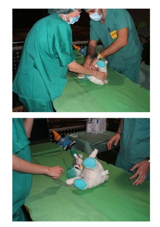 Setmana Cultural - abril 07