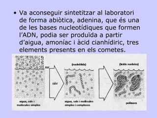 Va aconseguir sintetitzar al laboratori de forma abiòtica, adenina, que és una de les bases nucleotídiques que formen l’ADN, podia ser produïda a partir d’aigua, amoníac i àcid cianhídiric, tres elements presents en els cometes. 