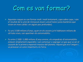 Com es van formar? Aquestes roques es van formar molt i molt lentament, capa sobre capa, i són el resultat de la unió de minúsculs éssers unicel·lulars (unes bactèries que vivien en mars càlids i en aigües poc profundes).  Fa uns 3.500 milions d’anys, quan en els oceans ja hi habitaven milions de cèl·lules vives, van aparèixer els estromatòlits. Fa entre 2.500 i 1.000 milions d’anys enrere, els empedrats d’estromatòlits estaven àmpliament expandits i van començar a segregar un gas que va ser el causant de la primera expansió massiva del planeta. Aquest gas era l’oxigen i va provocar un canvi important a la Terra. 